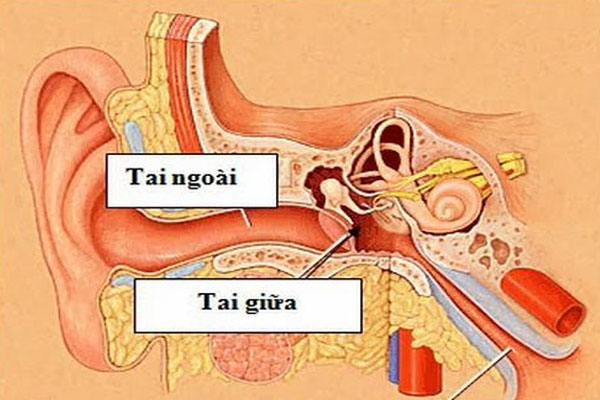 Tìm Hiểu Về Bệnh Viêm Tai Giữa